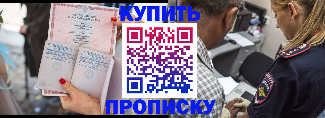 прописка законно в Курчалом